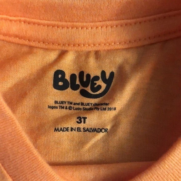 Moose Toddler Boys Bluey Halloween Bingo Short Sleeve T-Shirt Orange 3T - Picture 9 of 11